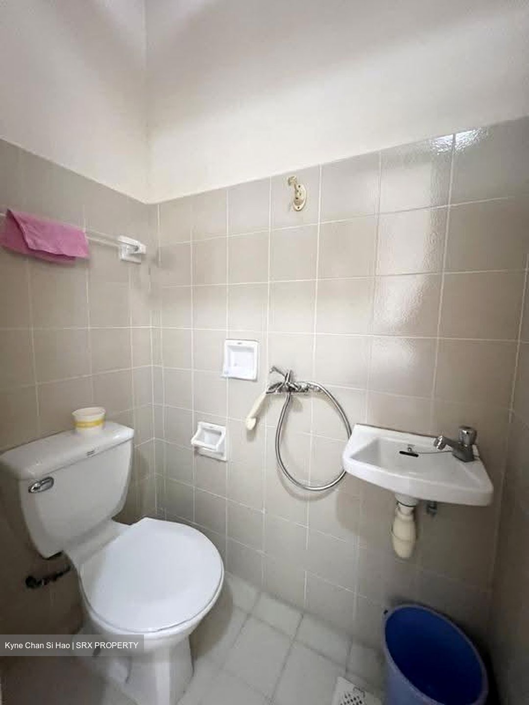 Tanglin View (D3), Condominium #628773681